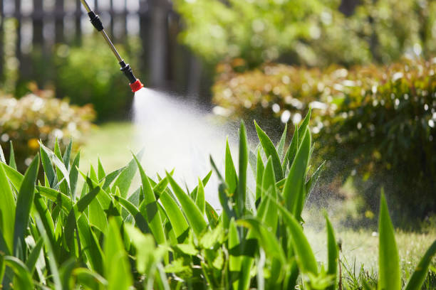 24/7 Emergency Mosquito Control experts in Mount Vernon, IN