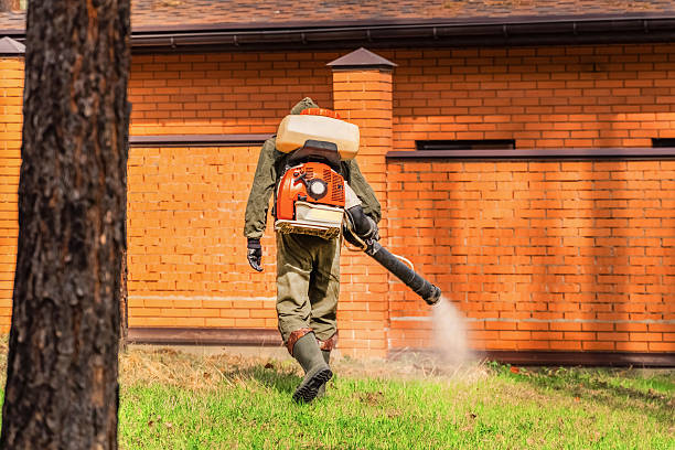 Top rated local Mosquito Control specialists in Mount Vernon, IN